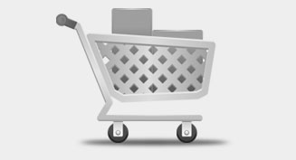 eCommerce web development services eCommerce web development services