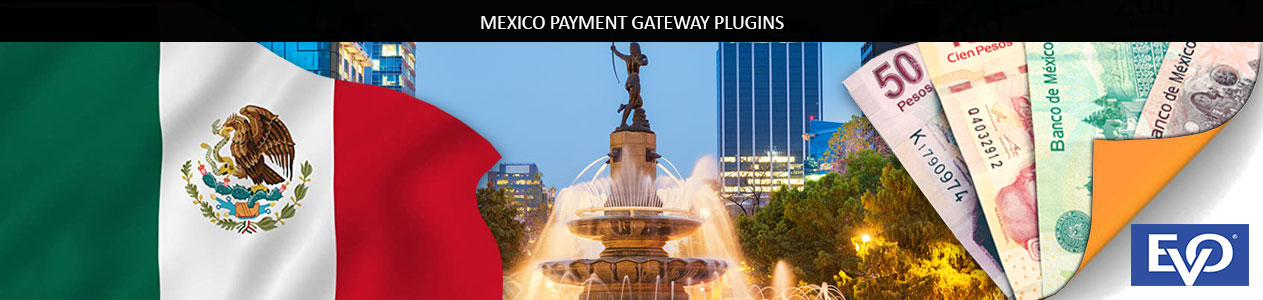 EVO Payments Mexico Pestrashop application