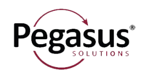 pegasus travel srl