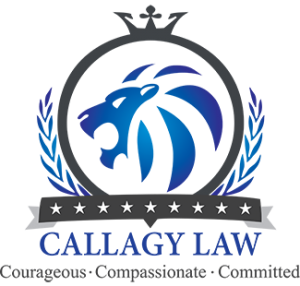 Law Firm Accountancy Firm Mobile App