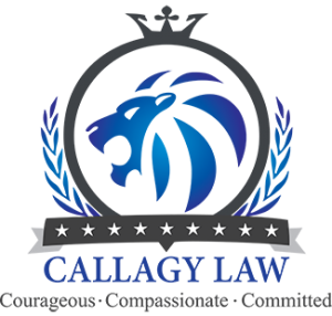 Law Firm Accountancy Firm Mobile App