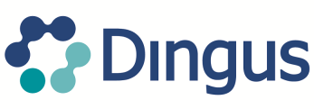Dingus