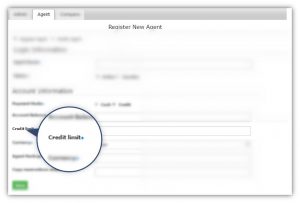 Automated-agent-credit-facility