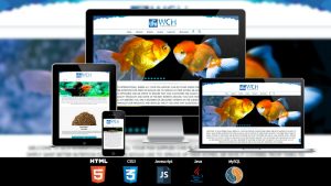 portfolio - wchinternational.com